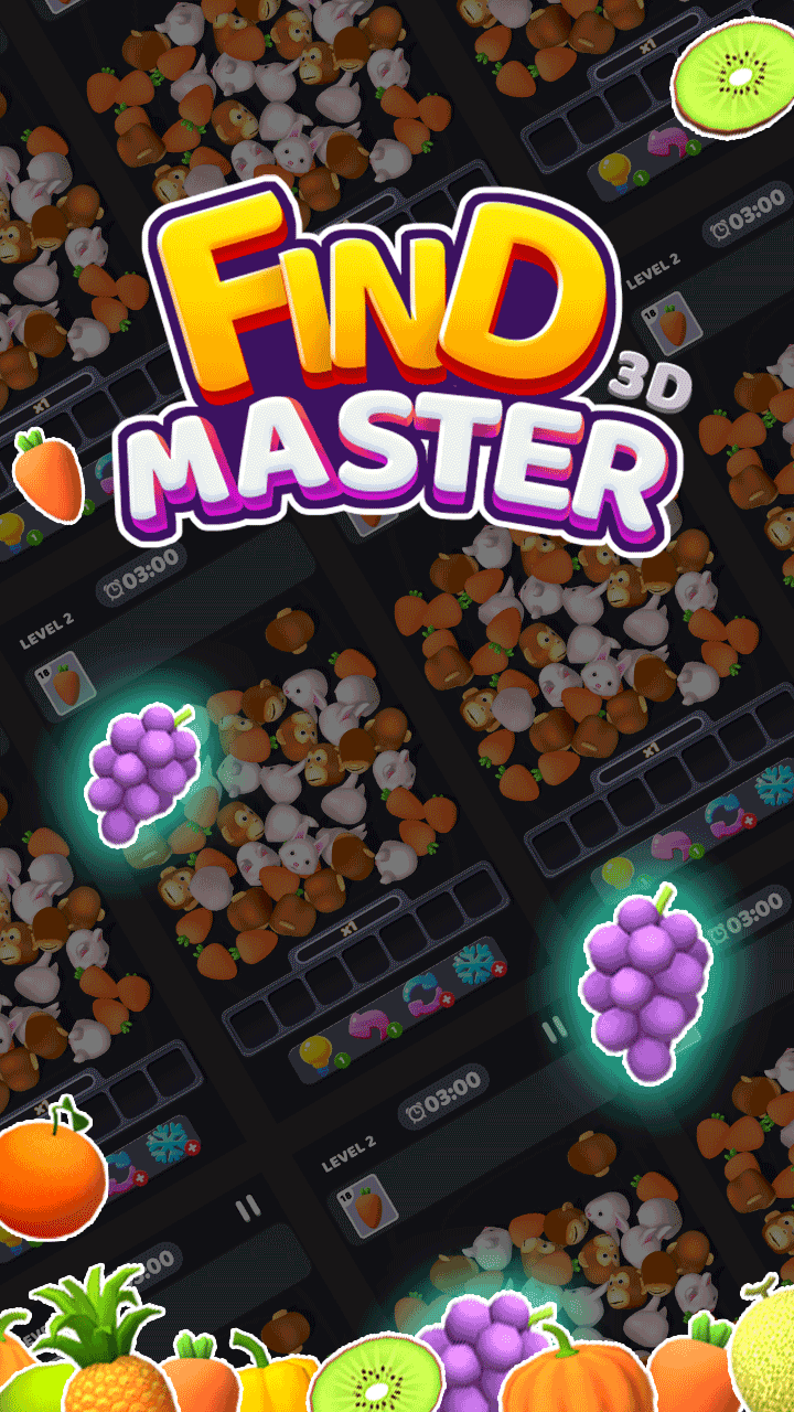 Find Master 3D - Free online game preview